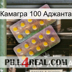 Камагра 100 Аджанта new10